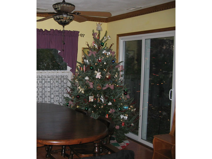 My 1st Christmas Tree!